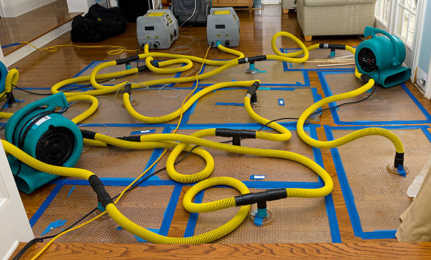 Professional Burst Pipe Water Damage technician working in Riverside, WA
